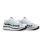 Nike P-6000 'Dusty Cactus'