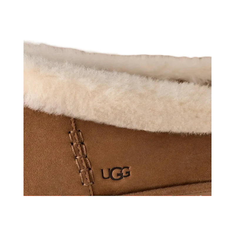 Ugg   Zora   Ballet   Flat